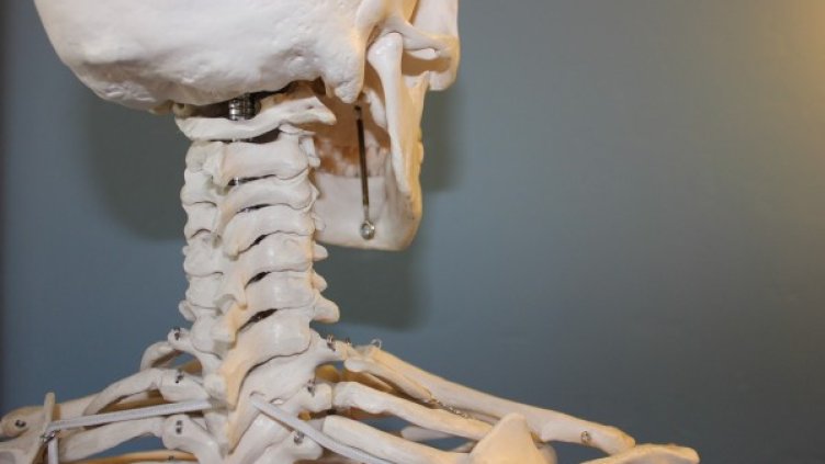 Снимка: архив "Булфото"