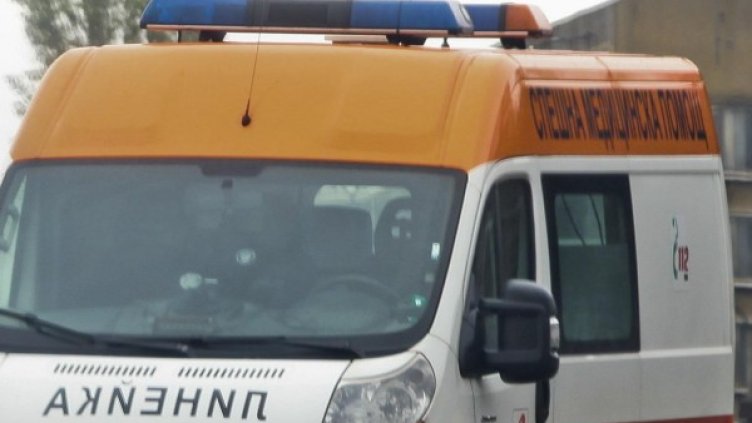 Снимка: Архив, Булфото