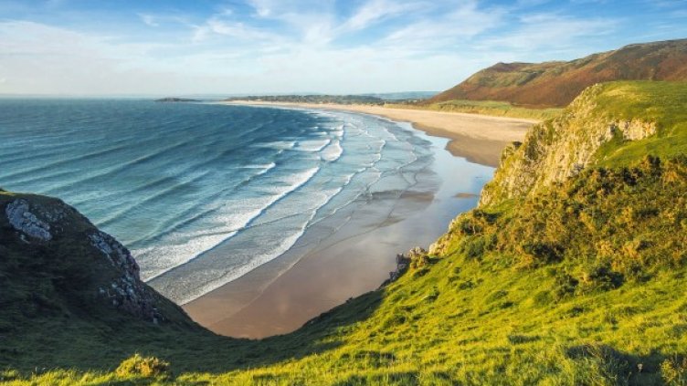 Снимка: Pixabay