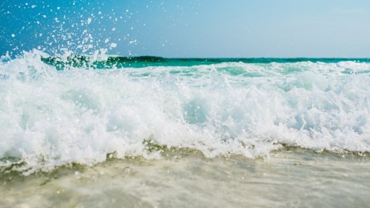 Снимка: Pixabay