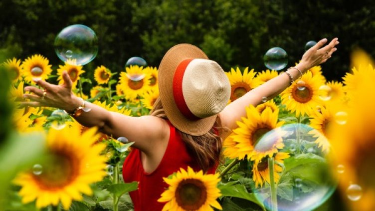 Снимка: Pexels