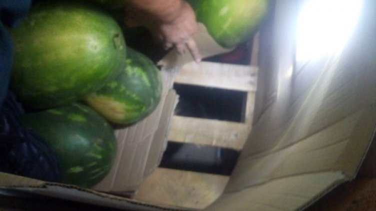 Снимка: МВР