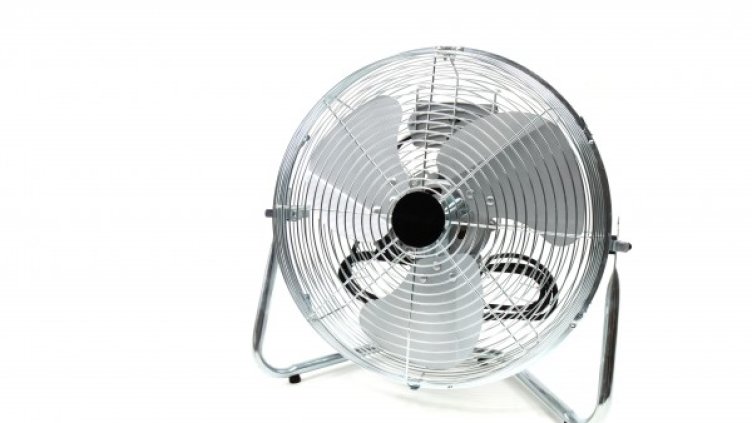 Снимка: Pexels