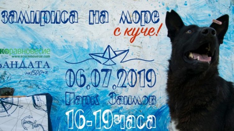 Снимка: Екоравновесие