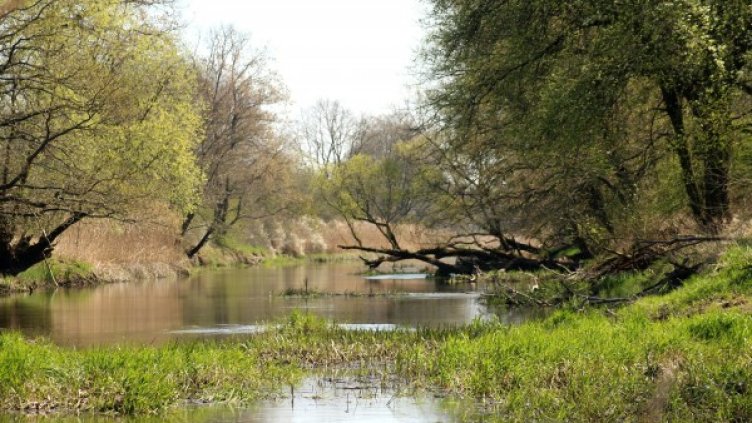 Снимка: pixaBay