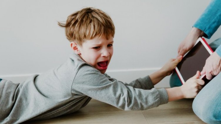 Снимка: Istock