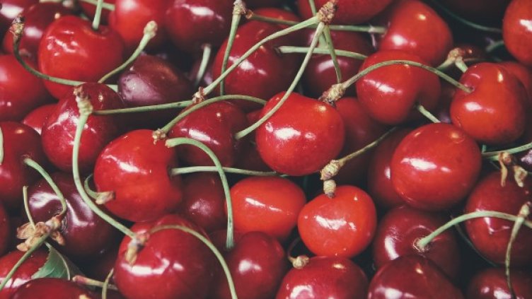 Снимка: Pexels