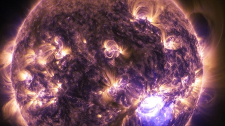 Снимка: Pexels