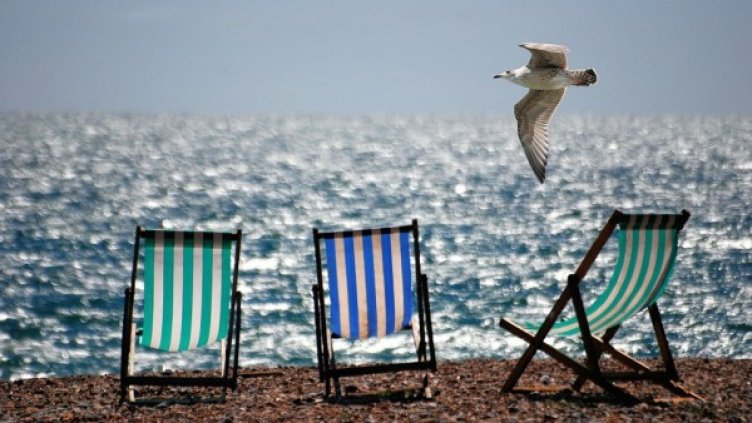 Снимка: pixabay