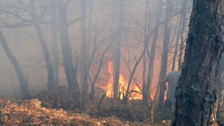 Снимка: Булфото