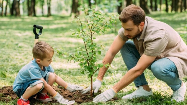 Снимка: istock