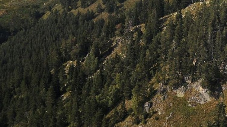 Снимка: Булфото, архив