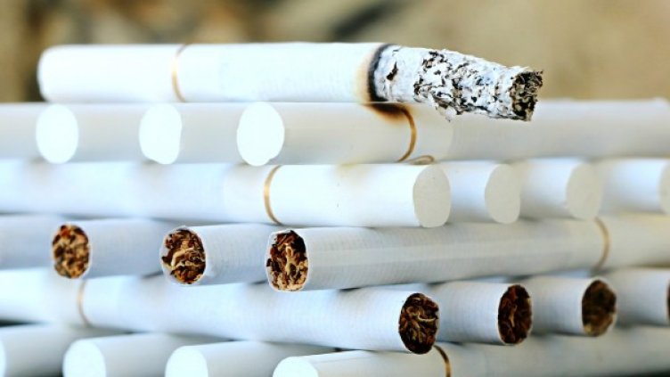 Снимка: Pixabay