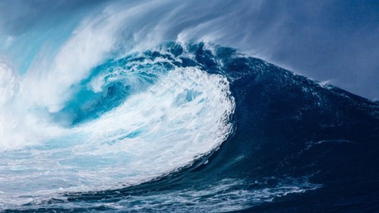 Снимка: Pixabay