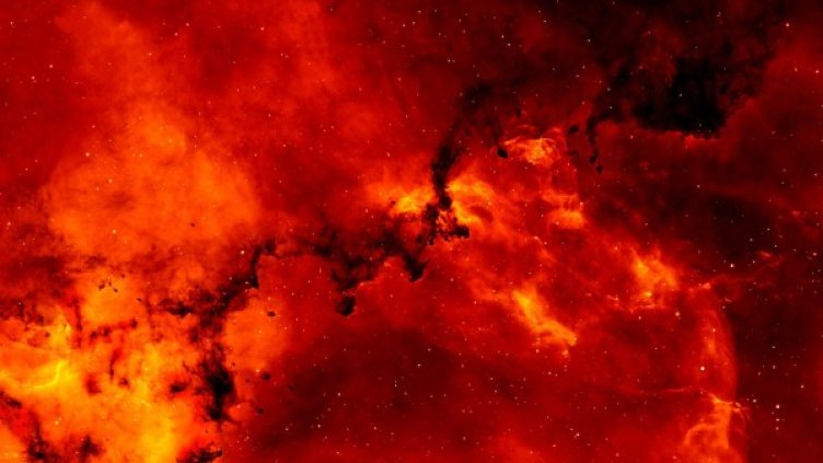 Снимка: Pixabay