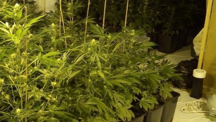 Снимка: Прокуратура Пресцентър