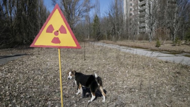 Снимки: Reuters