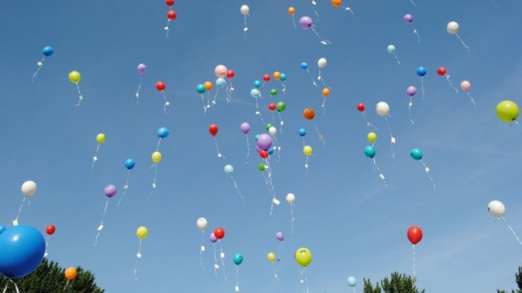 Снимки: Pixabay