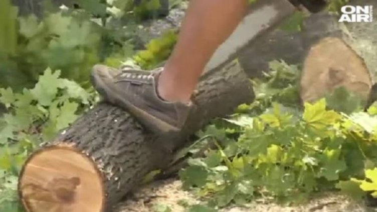 Снимка: bgonair.bg