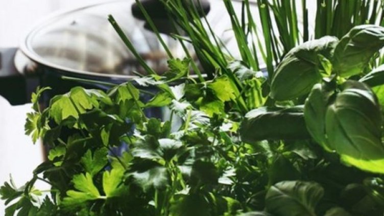 Снимка: pexels