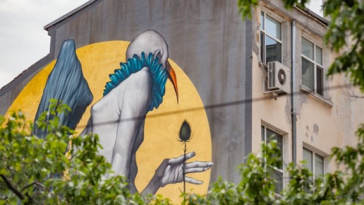 Снимка: Димитър Кьосемарлиев, Dnes.bg