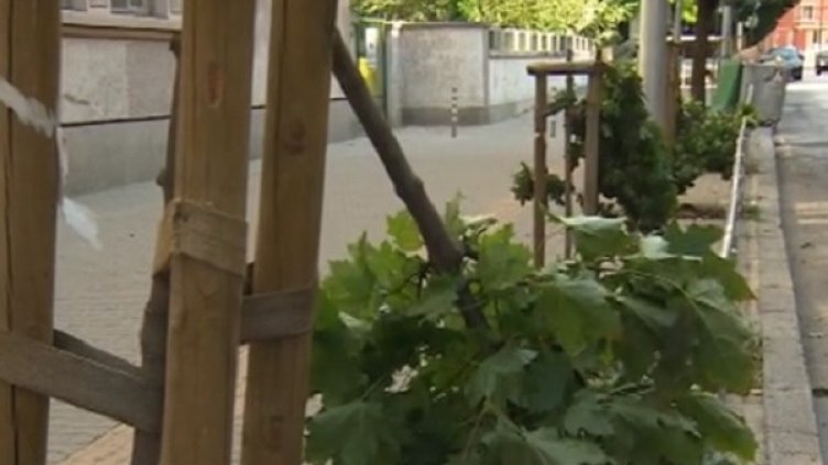 Снимка: Кадър bTV