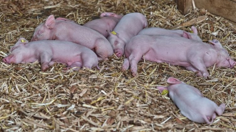 Кадър: Bulgaria ON AIR