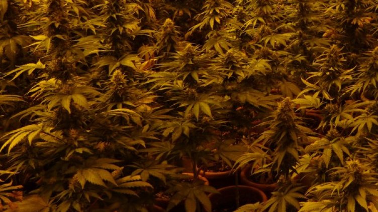 Снимка: Прокуратура Пресцентър