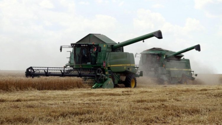 Архив: Булфото