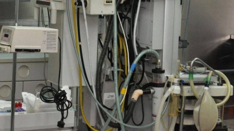 Снимка: архив, БулФото