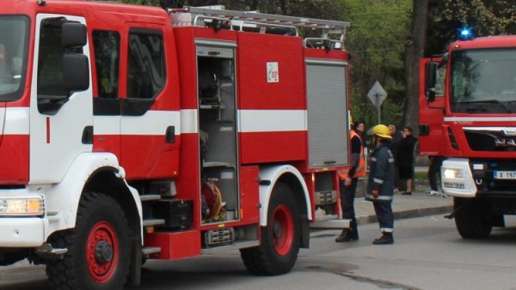 Снимка: Булфото, архив