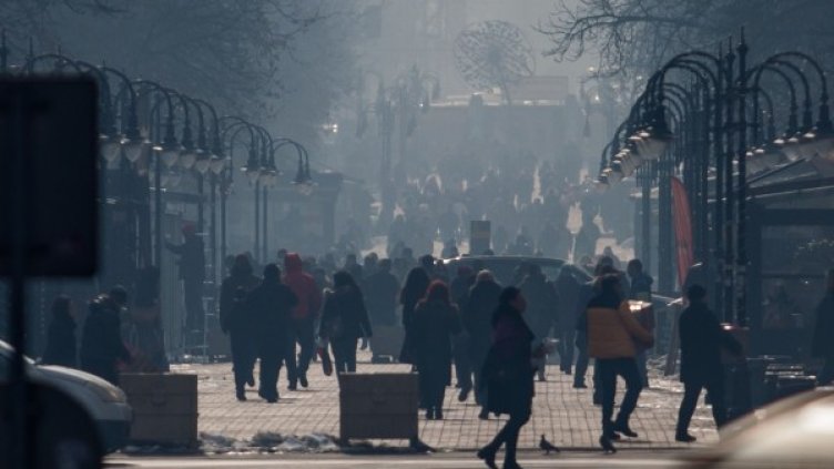 Снимка: Димитър Кьосемарлиев, Dnes.bg