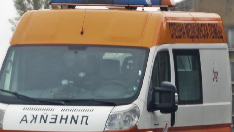 Снимка: Архив, Булфото