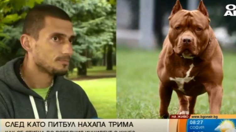 Снимка: Bulgaria ON AIR