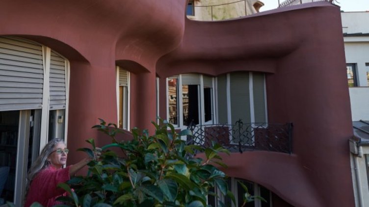 Снимки: New York Times