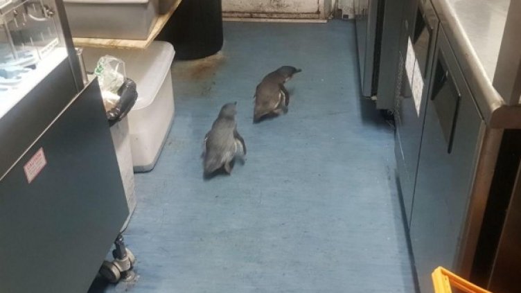 Снимка: Facebook