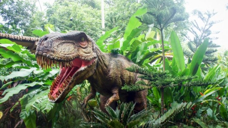 Снимка: Pixabay