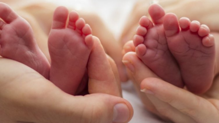 Снимка: istock