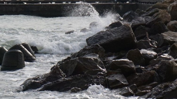 Снимка: архив Булфото