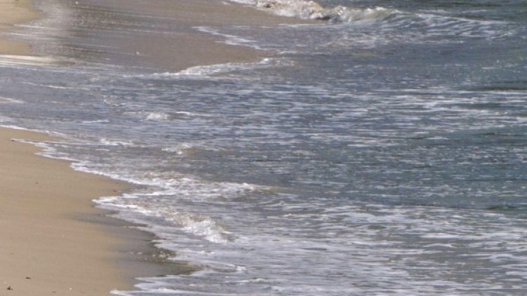 Снимка: архив Булфото