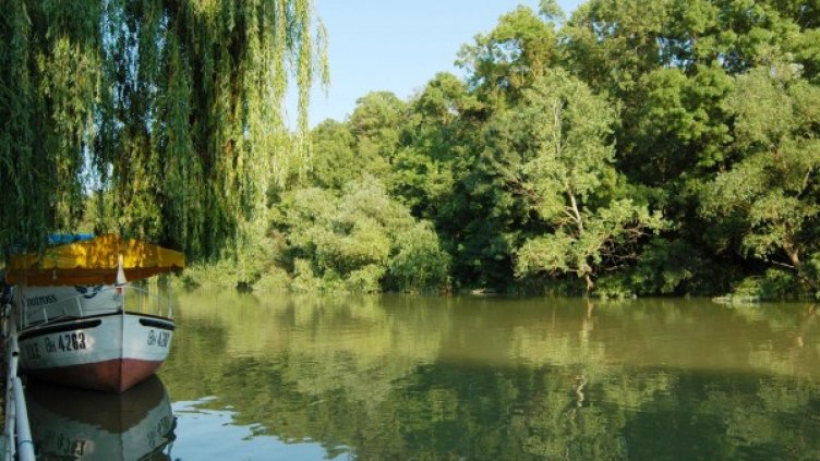 Архив: Булфото