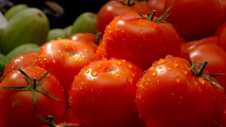 Снимка: архив, БулФото