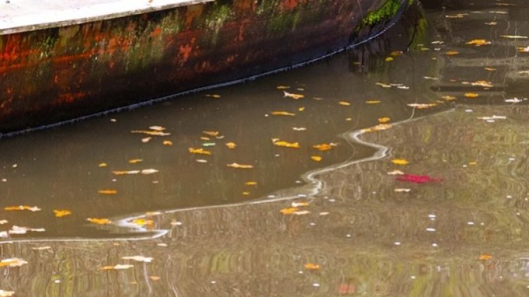 Снимка: Pixabay