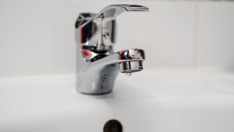 Снимка: pixaBay