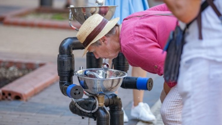 Снимка: Димитър Кьосемарлиев, Dnes.bg