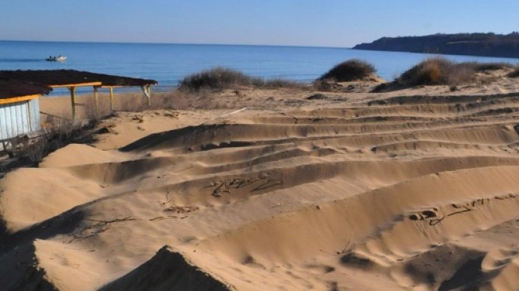 Снимка: архив "Булфото"