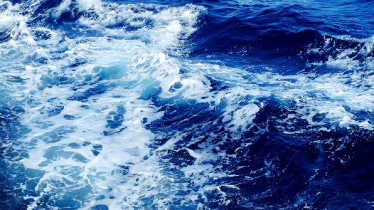 Снимка: pixabay.com