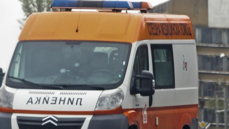 Снимка: Архив, Булфото