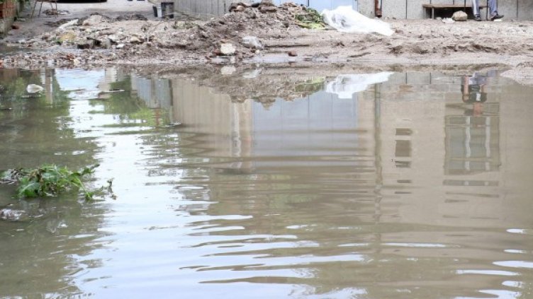 Снимка: Булфото, архив