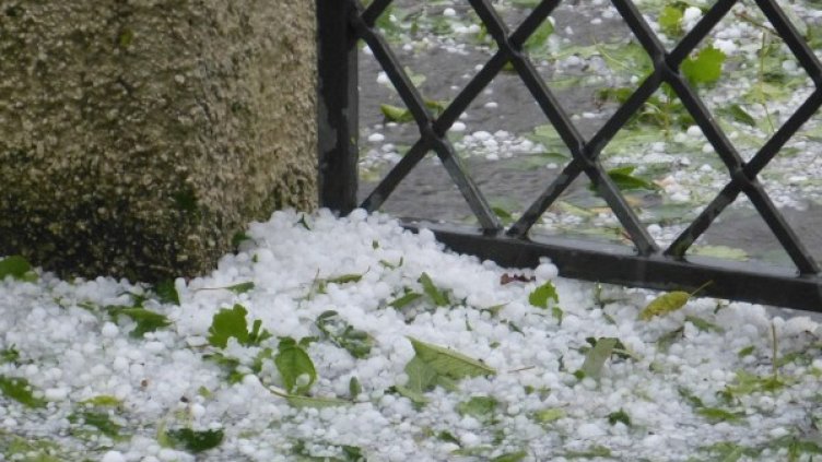 Снимка: Pixabay